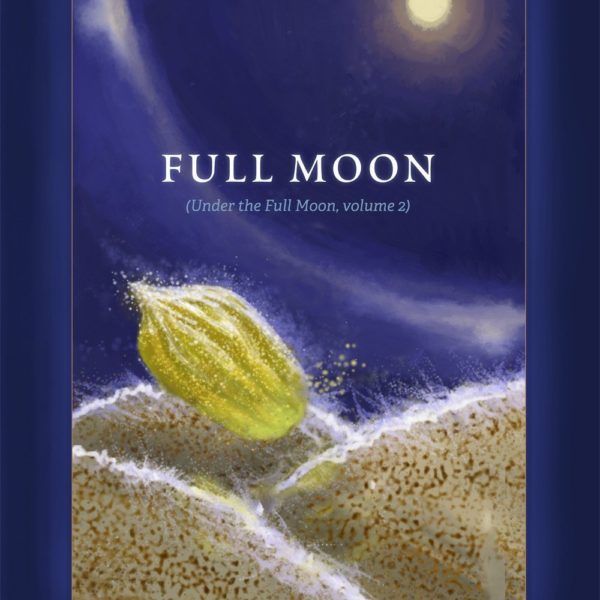 Festivals Of The Full Moon 2d High Res.jpg